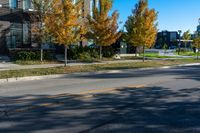 the man is riding his skateboard along the side of the road with autumn leaves