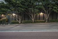 an asphalt roadway near several trees and buildings on the other side of a street at dusk