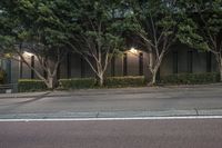 an asphalt roadway near several trees and buildings on the other side of a street at dusk