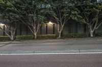 an asphalt roadway near several trees and buildings on the other side of a street at dusk