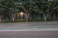 an asphalt roadway near several trees and buildings on the other side of a street at dusk