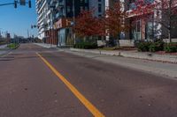 Urban Design: Streets Tree-Lined Thoroughfare 001