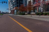 Urban Design on Streets: Tree-Lined Thoroughfare