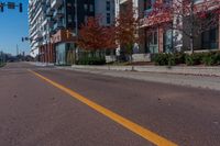 Urban Design: Tree-lined Thoroughfare in Streets