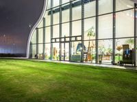 grass in front of a storefront window at night time with the moon overhead and people walking in it