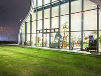 grass in front of a storefront window at night time with the moon overhead and people walking in it