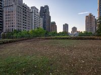 a patch of grass next to tall buildings and plants in the foreground and trees on either side of the building