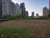 a patch of grass next to tall buildings and plants in the foreground and trees on either side of the building