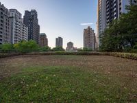 a patch of grass next to tall buildings and plants in the foreground and trees on either side of the building