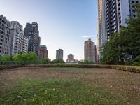 a patch of grass next to tall buildings and plants in the foreground and trees on either side of the building