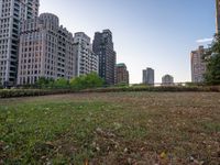 a patch of grass next to tall buildings and plants in the foreground and trees on either side of the building