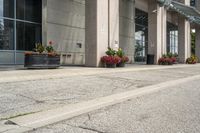 a parking meter that is sitting on the sidewalk of a building, with potted plants