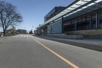 the empty road is lined with empty trees in the front of this building at the end of the street