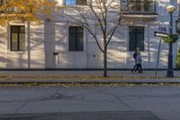 Urban Design in Toronto: Vibrant Yellow Leaves on Asphalt Road