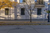 Urban Design in Toronto: Vibrant Yellow Leaves on Asphalt Road