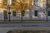 Urban Design in Toronto: Vibrant Yellow Leaves on Asphalt Road