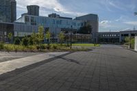 an empty paved sidewalk with building in the background and park in front of it on a sunny day