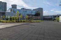 an empty paved sidewalk with building in the background and park in front of it on a sunny day