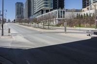 a city street near tall buildings and trees in the sunshine area of an urban city