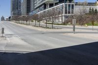 a city street near tall buildings and trees in the sunshine area of an urban city