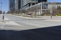 a city street near tall buildings and trees in the sunshine area of an urban city