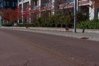 Urban Design in Toronto: Curb and Tree-lined Streets