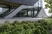 an empty courtyard near some plants and trees with large windows on top of the building