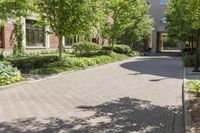 an empty paved street next to a tall brick building and several bushes in the foreground