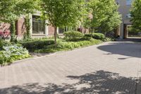 an empty paved street next to a tall brick building and several bushes in the foreground