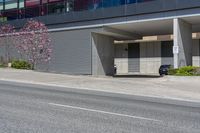 Urban Design in Toronto: Public Space with Vegetation