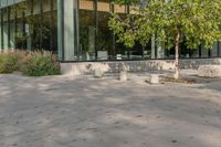 Urban Design in Toronto - Residential Area Architecture with Brick Facade and Green Vegetation