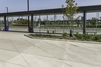 Urban Design in Toronto: Streets with Lush Vegetation