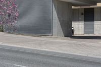 a woman that is skateboarding on the street near a building and trees with flowers