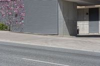 a woman that is skateboarding on the street near a building and trees with flowers