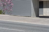 a woman that is skateboarding on the street near a building and trees with flowers