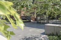 a tree with a glass fence and a trash can outside of a building in the city