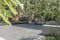 a tree with a glass fence and a trash can outside of a building in the city