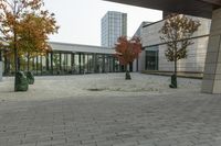 the trees are beside each other and outside of an office building, with glass doors on the windows