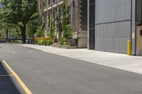 a person is riding a bike on the city street, facing the camera and facing toward tall buildings with trees in front