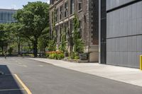 a person is riding a bike on the city street, facing the camera and facing toward tall buildings with trees in front