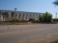 Urban Egypt: Clear Sky, Palm Trees, and Architecture