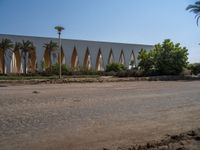 Urban Egypt: Clear Sky, Palm Trees, and Architecture