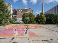 a basketball court painted with a flower pattern in the middle of the street and next to a basketball hoop