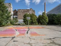 a basketball court painted with a flower pattern in the middle of the street and next to a basketball hoop