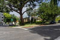 Urban Home in Los Angeles: A Residential Area