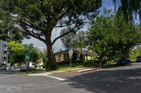 Urban Home in Los Angeles: A Residential Area