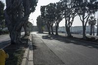 Urban Infrastructure in Los Angeles: The Asphalt Jungle