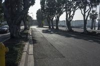 Urban Infrastructure in Los Angeles: The Asphalt Jungle