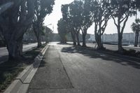 Urban Infrastructure in Los Angeles: The Asphalt Jungle