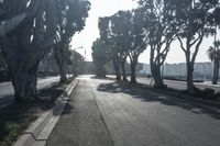 Urban Infrastructure in Los Angeles: The Asphalt Jungle
